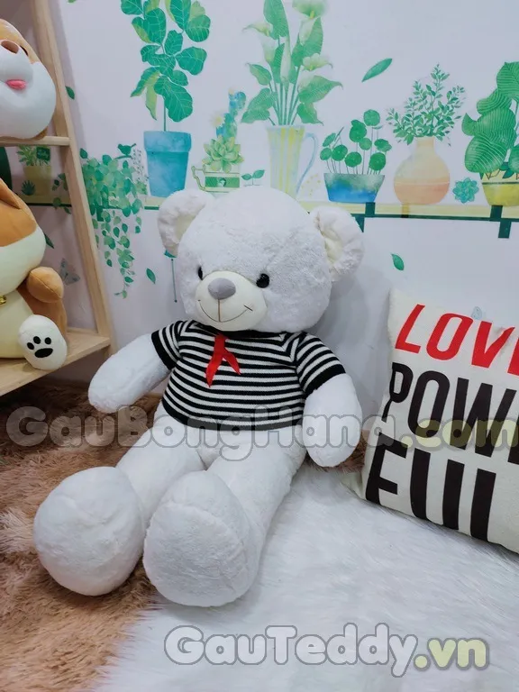 Bảo hành sức khỏe con giống chuột hamster Vũng Tàu: Cam kết chất lượng từ shop