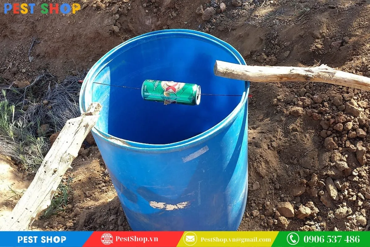 Bẫy chuột bằng thùng sơn