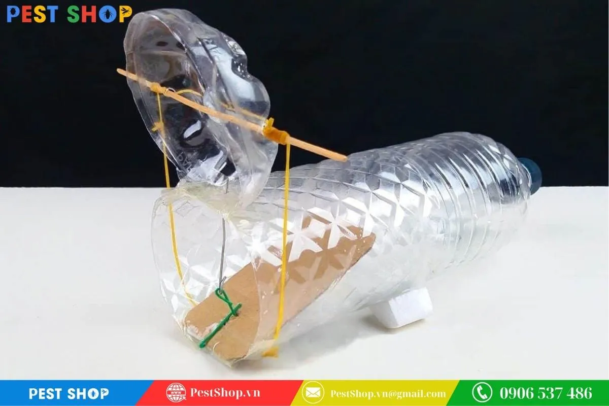 Bẫy chuột tự chế bằng chai nhựa