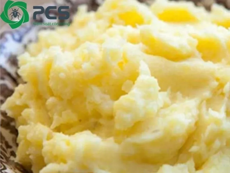 Bẫy keo dính chuột đặt gần chân tường trong không gian tối, minh họa cách bẫy chuột thông minh bằng keo dính