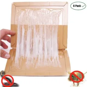 Bẫy keo dính hộp bìa cứng đa năng, dùng bẫy chuột, gián và các loại côn trùng khác