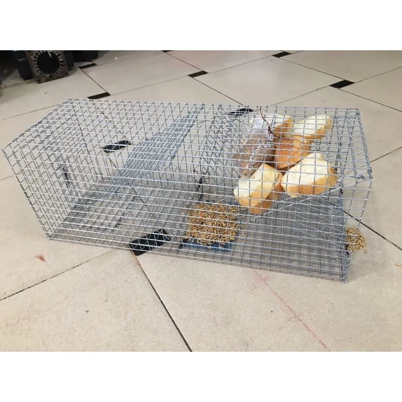 Bẫy lồng và keo dính chuột được đặt trong nhà kho hoặc góc nhà, minh họa các loại bẫy chuột nhắt truyền thống