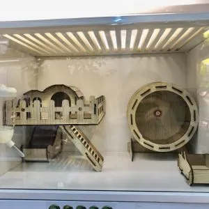 Bể gỗ mặt Mika lắp ghép là một lựa chọn tuyệt vời cho chuồng nuôi chuột hamster