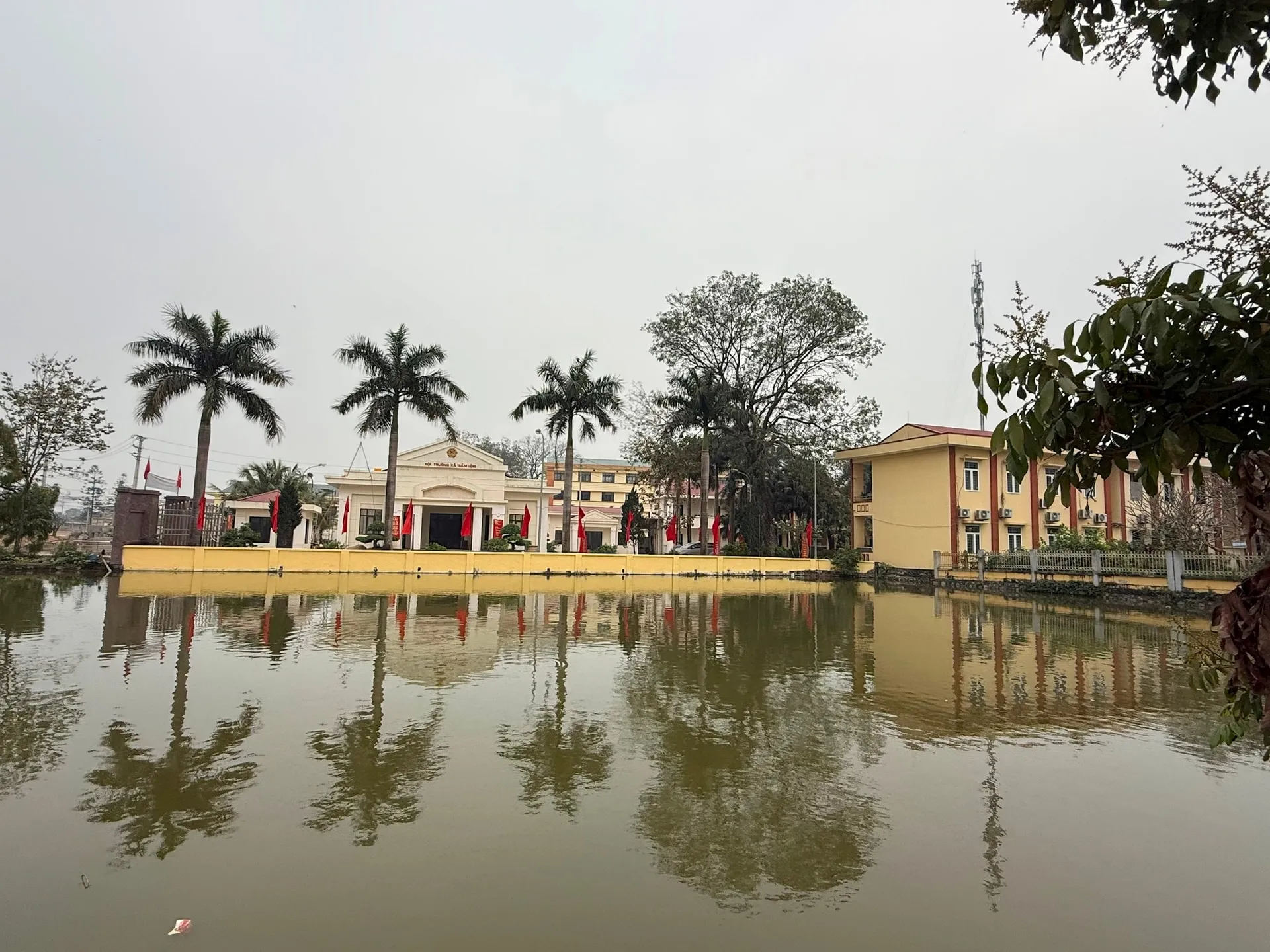 Cách Nuôi Yến Lấy Tổ Hiệu Quả Và Đạt Chuẩn Kỹ Thuật