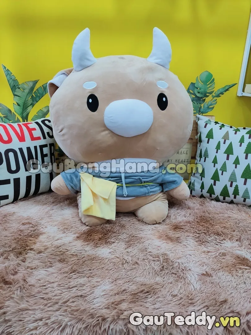 Bò Bông Chăm Chỉ