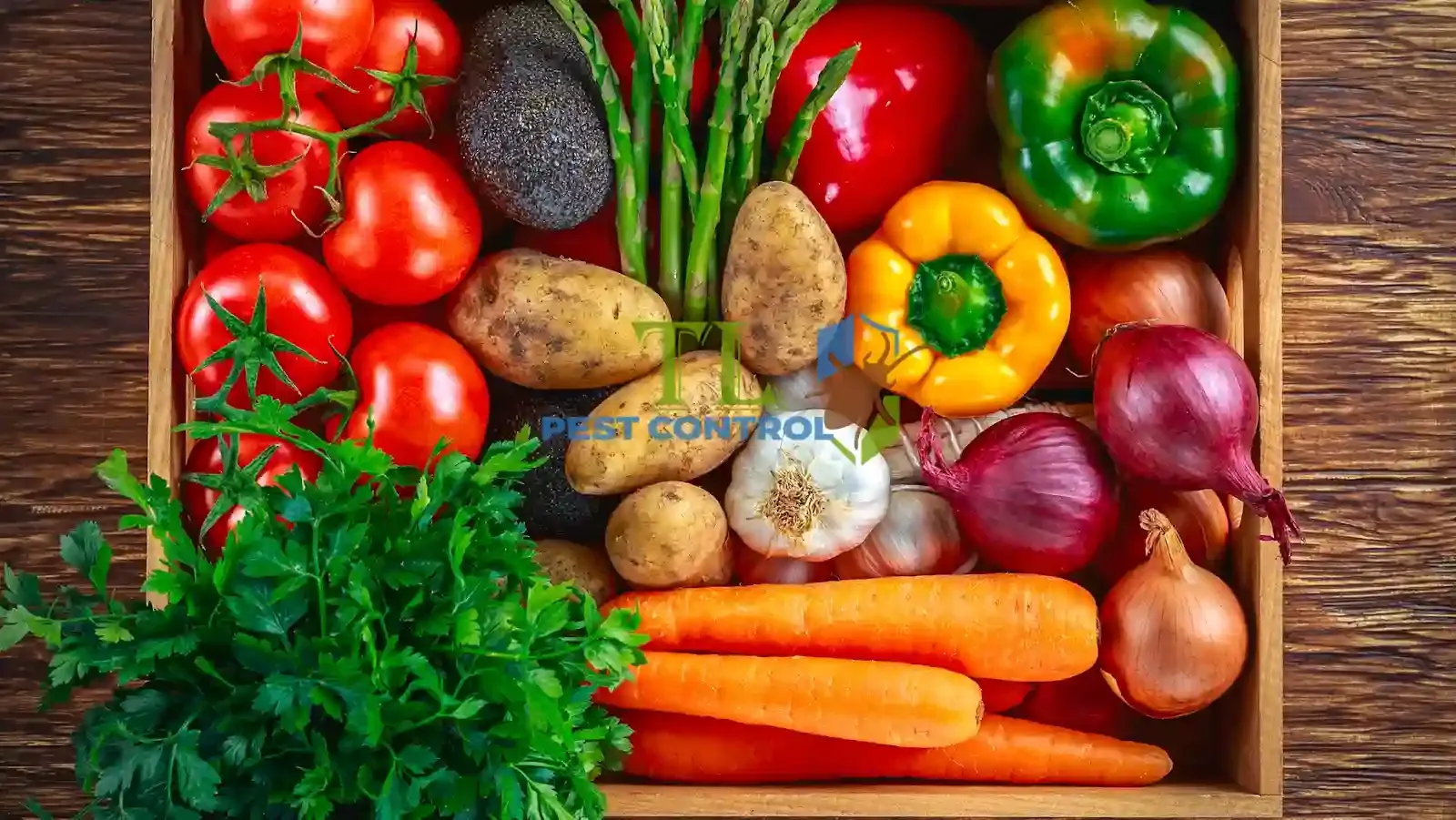 Bơ đậu phộng dính dẻo là loại mồi bẫy chuột trong nhà mang lại hiệu quả cao