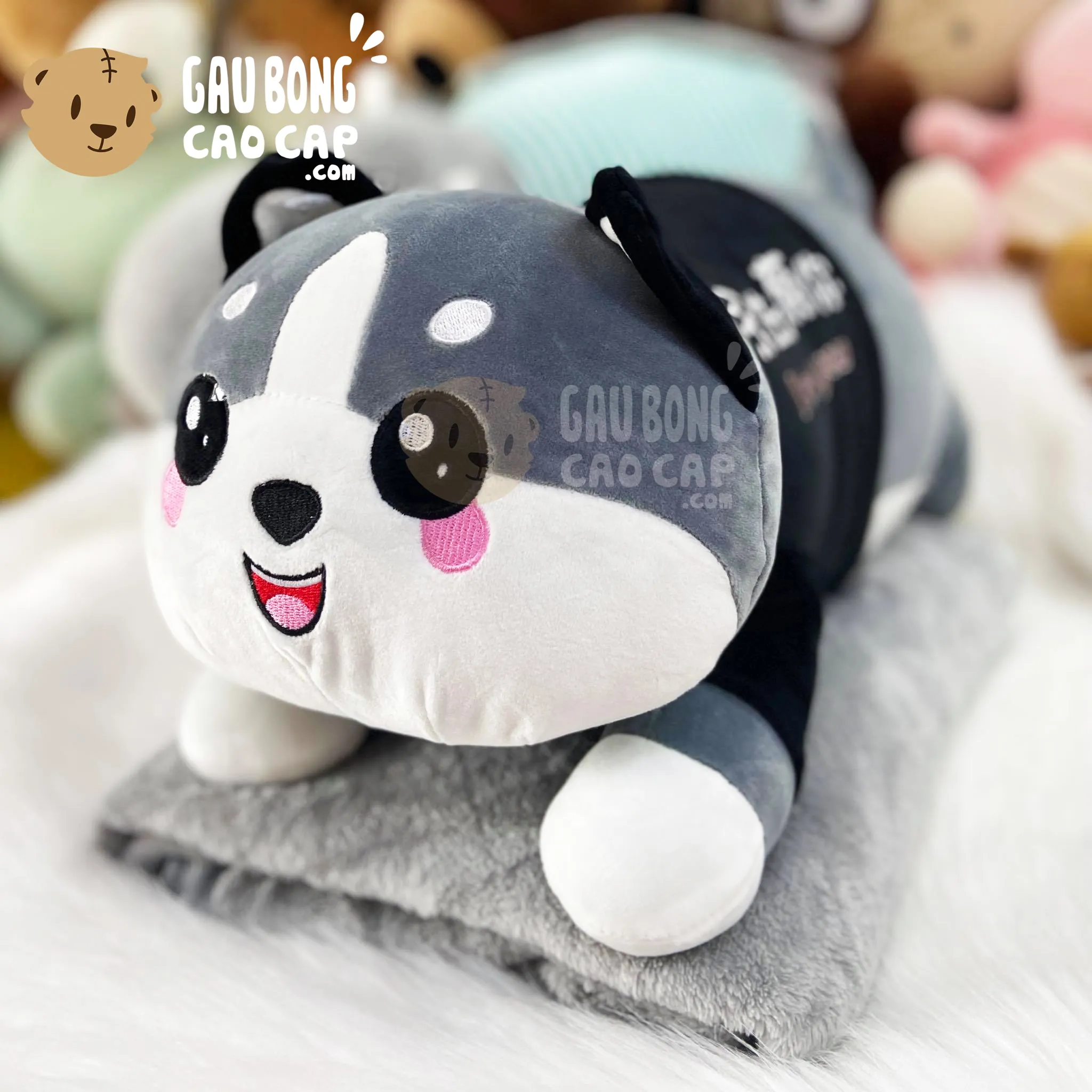 Bộ gấu bông Husky cuộn mền
