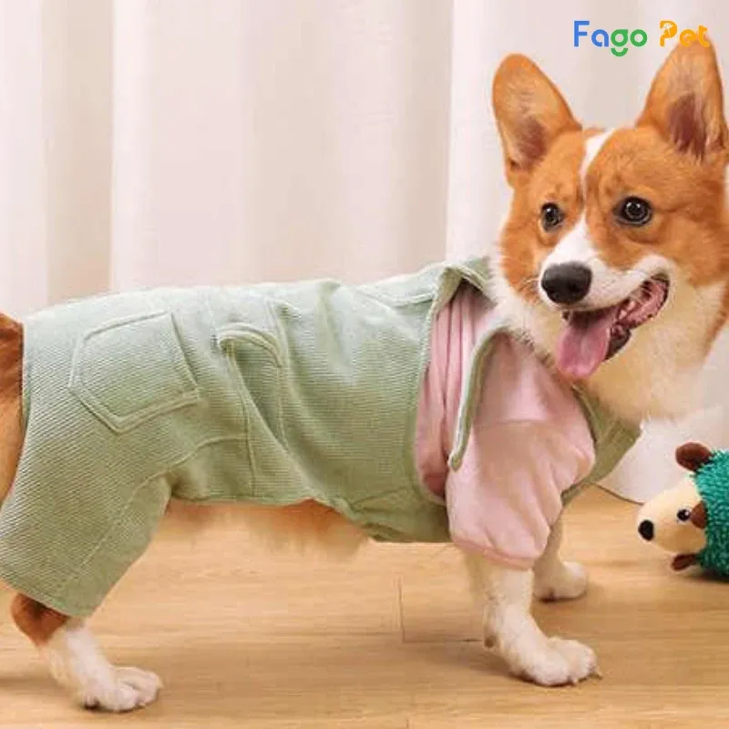 Bộ quần áo yếm màu đỏ và xanh ngộ nghĩnh cho chó Corgi