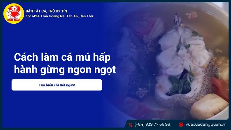 Cách Nuôi Cá Vược Trắng Thành Công Với Hướng Dẫn Kỹ Thuật Chuyên Sâu