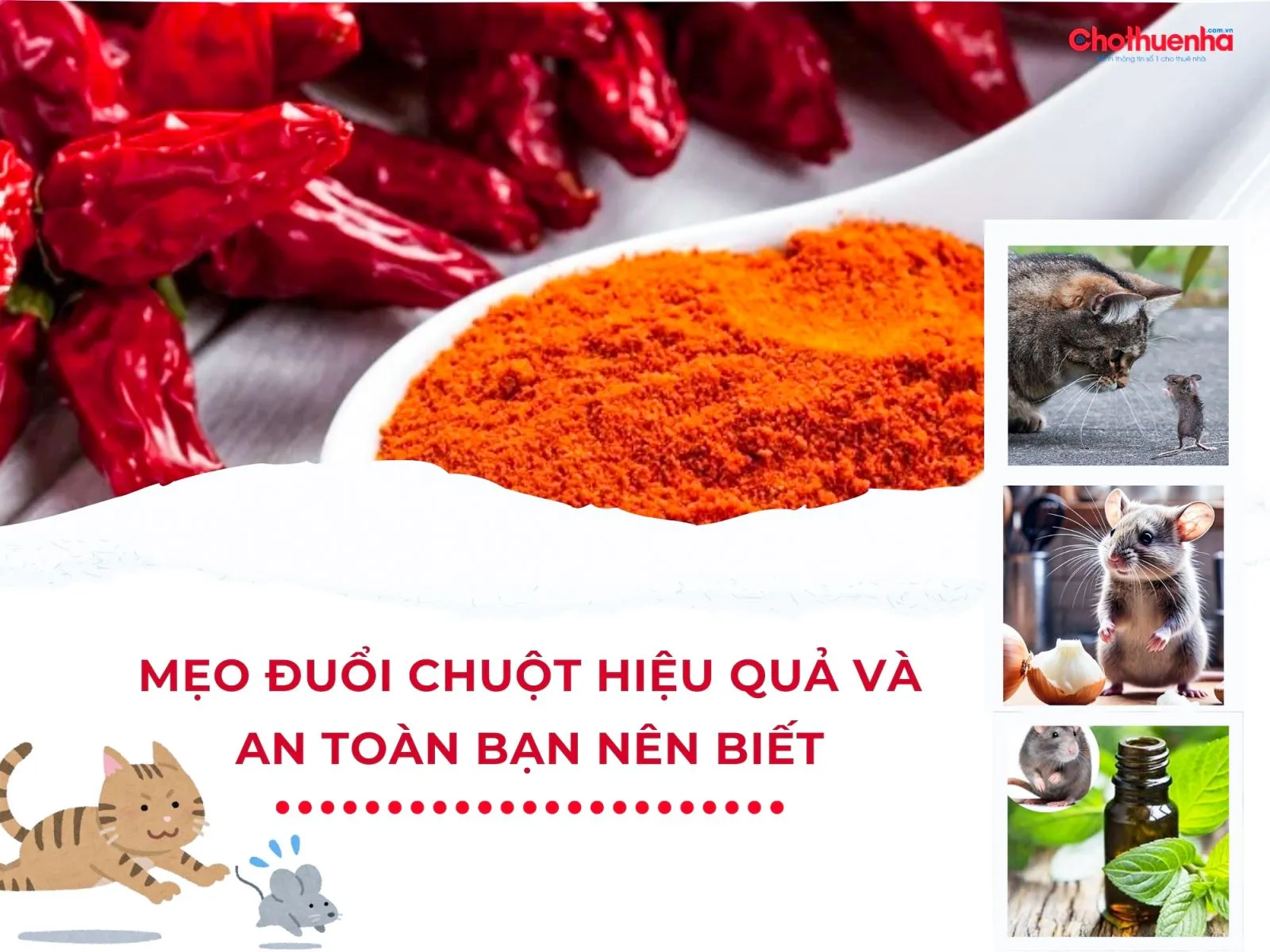 Các biện pháp đuổi chuột an toàn và hiệu quả nên được áp dụng thường xuyên