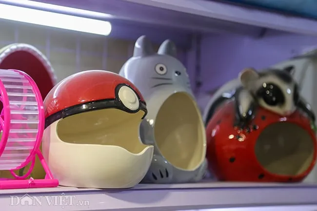 Các vật dụng trang trí giúp chuột Hamster cảm thấy thoải mái