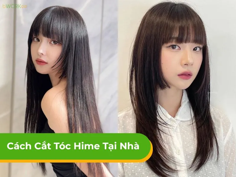 Hướng Dẫn Chi Tiết Cách Nuôi Cá Nàng Hai Chuẩn Chỉnh