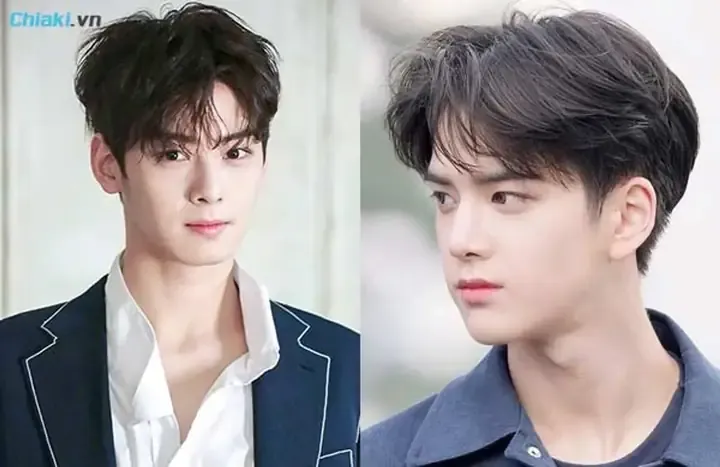 Duy trì vẻ ngoài rạng rỡ và khỏe mạnh cho thú cưng mỗi ngày