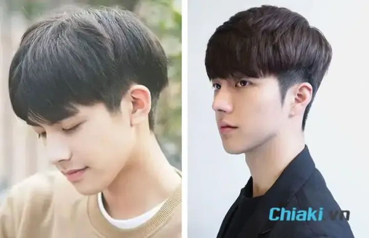 Duy trì thói quen ăn uống lành mạnh cho chó con từ bé