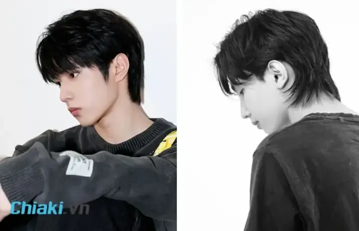 Tầm quan trọng của vitamin D3 đối với chó con thiếu canxi