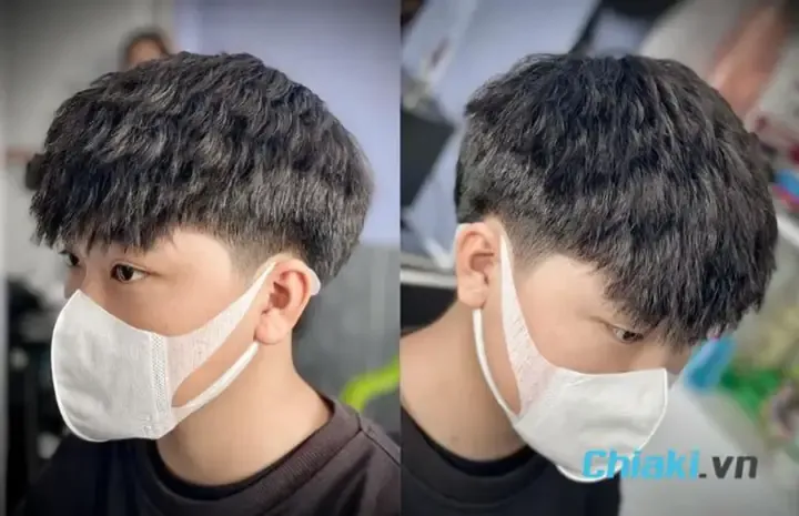 Theo dõi quá trình hồi phục khi chó con bị thiếu canxi tại nhà