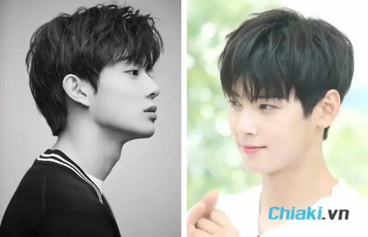 Quá trình hấp thu canxi ảnh hưởng đến sức khỏe chó con