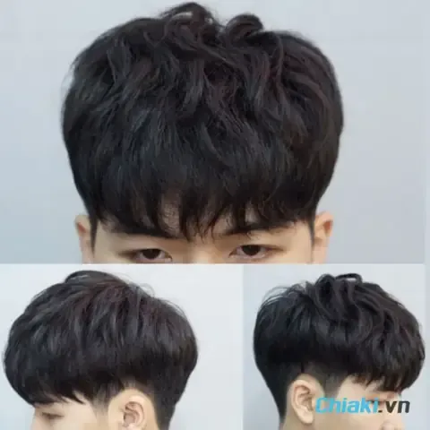 Môi trường sống sạch sẽ hỗ trợ chó con bị thiếu canxi hồi phục