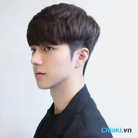 Theo dõi sự phát triển chiều dài xương của chó con định kỳ