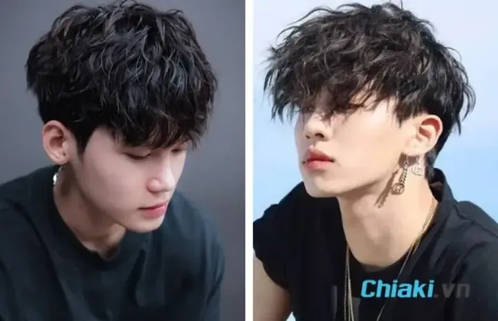 Lựa chọn các dịch vụ chăm sóc thú cưng uy tín và chất lượng