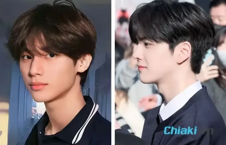 Tỉa lông và vệ sinh da giúp chó hấp thu ánh nắng tốt hơn