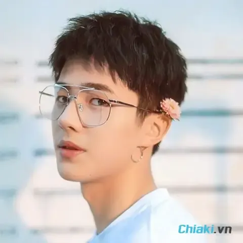 Sử dụng phụ kiện hỗ trợ khi chó con gặp khó khăn đi lại