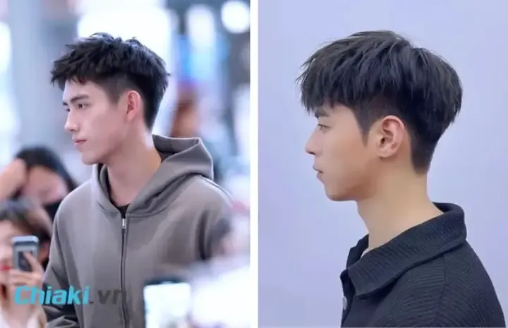 Biến dạng khung xương do chó con bị thiếu canxi lâu ngày