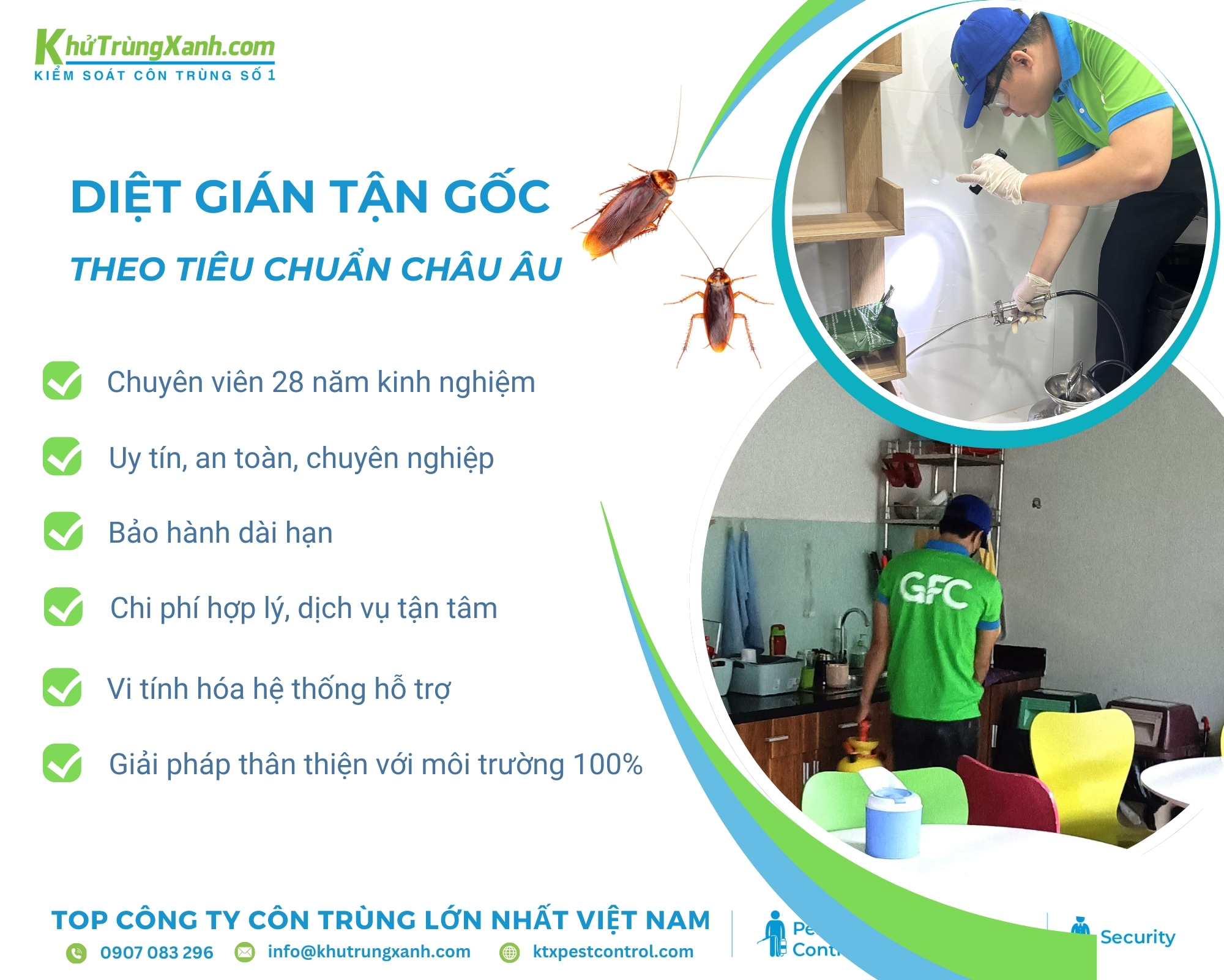 Cách Diệt Chuột Tại Nhà Hiệu Quả Nhất Với Các Giải Pháp An Toàn