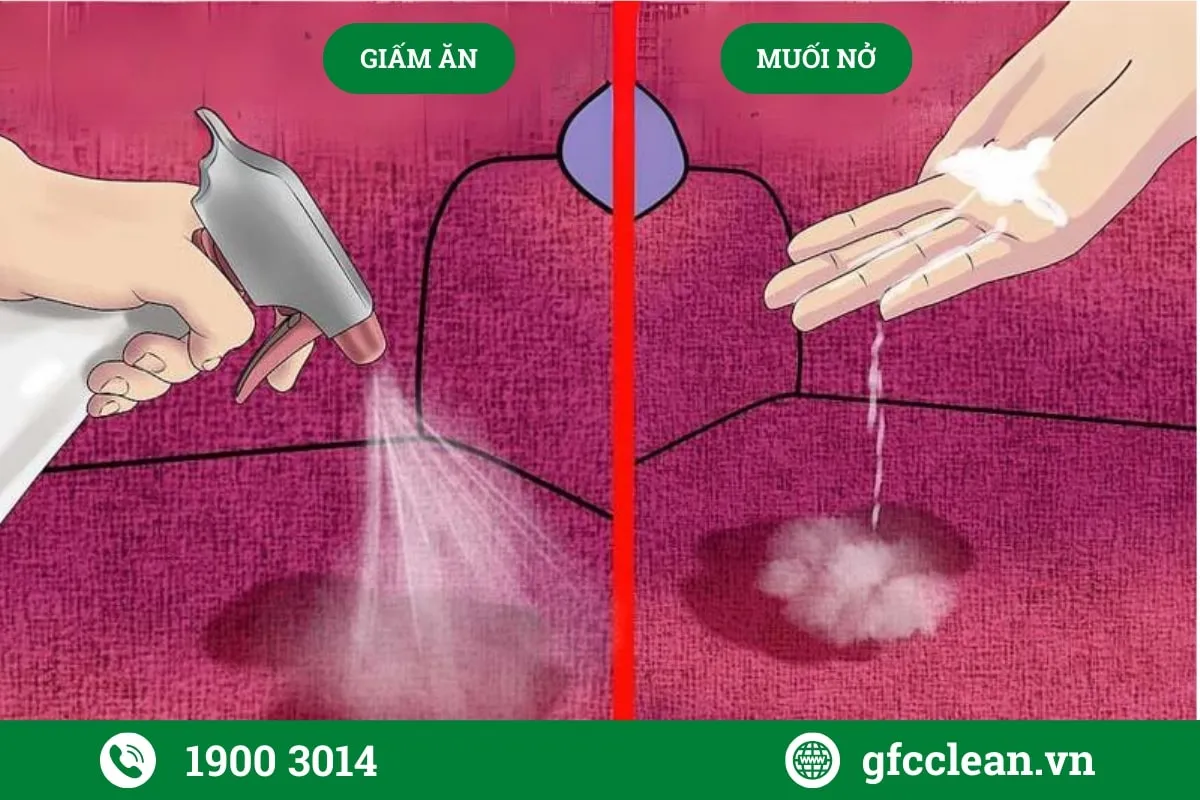 Khử mùi nước tiểu mèo trên nệm bằng giấm ăn và muối nở (baking soda)