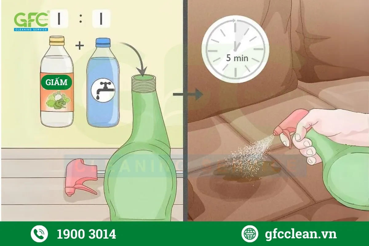 Giấm trắng có tính axit nên có thể khử mùi nước tiểu mèo trên nệm hoặc ghế da