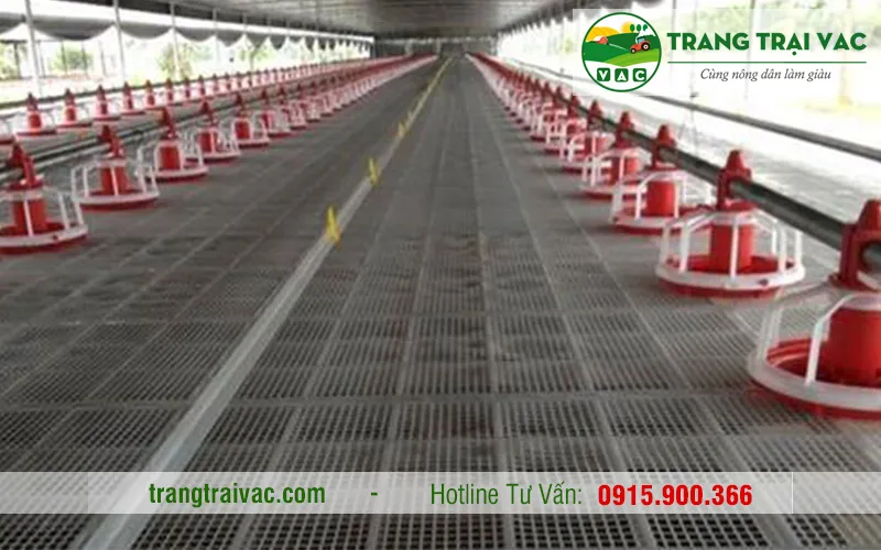 cách làm chuồng gà