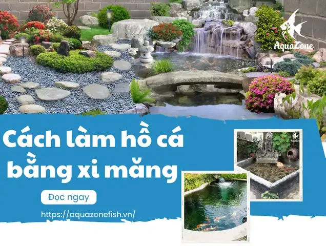 Hướng Dẫn Chi Tiết Cách Làm Chậu Xi Măng Nuôi Cá Đơn Giản Tại Nhà