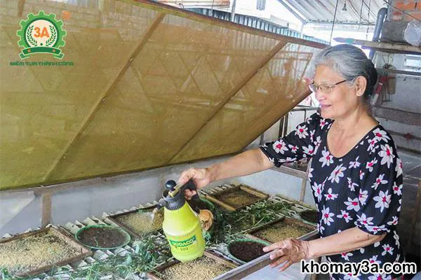 thức ăn cho dế mèn