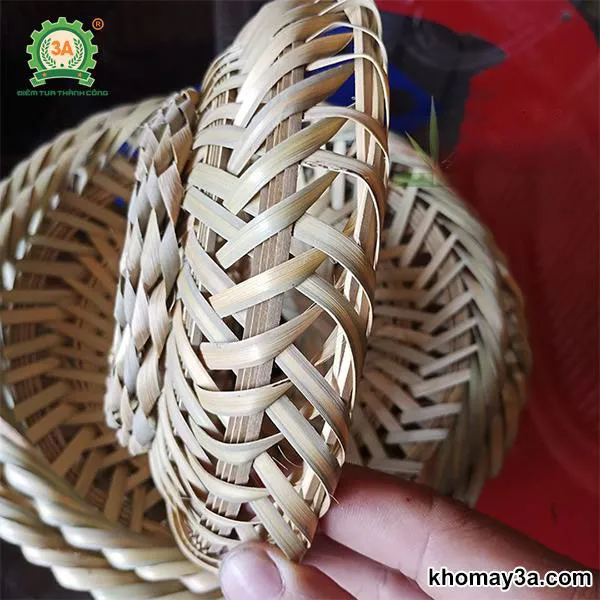 cách nuôi dế mèn