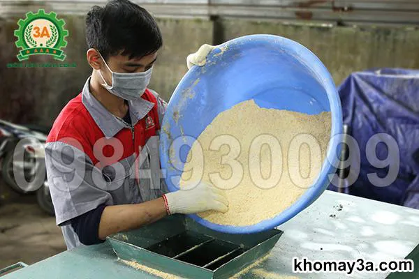 kỹ thuật nuôi dế mèn sinh sản