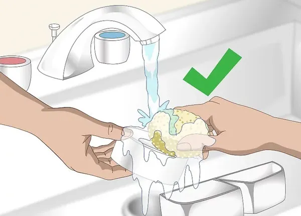 Vệ sinh dụng cụ thường xuyên trong cách nuôi rồng nam mỹ hằng ngày