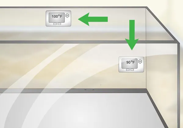 Cách nuôi rồng nam mỹ hiệu quả yêu cầu sử dụng nhiệt kế theo dõi chuồng