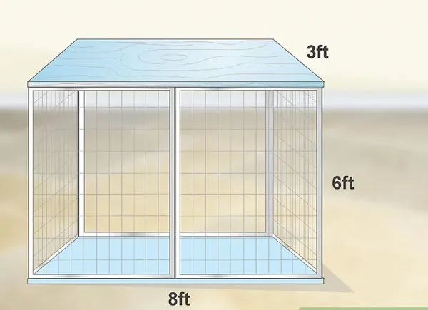 Lựa chọn chuồng nuôi phù hợp là bước quan trọng trong cách nuôi rồng nam mỹ