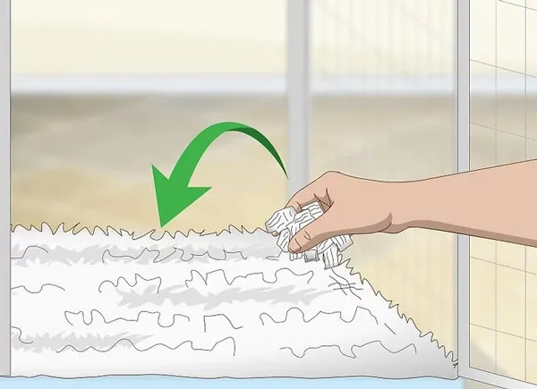 Chất lót nền an toàn hỗ trợ tốt cho cách nuôi rồng nam mỹ khỏe mạnh