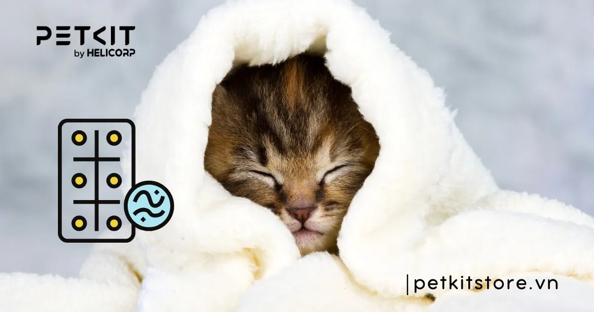 Tẩy Giun Cho Mèo Đúng Cách: Hướng Dẫn Chi Tiết Từ A-Z