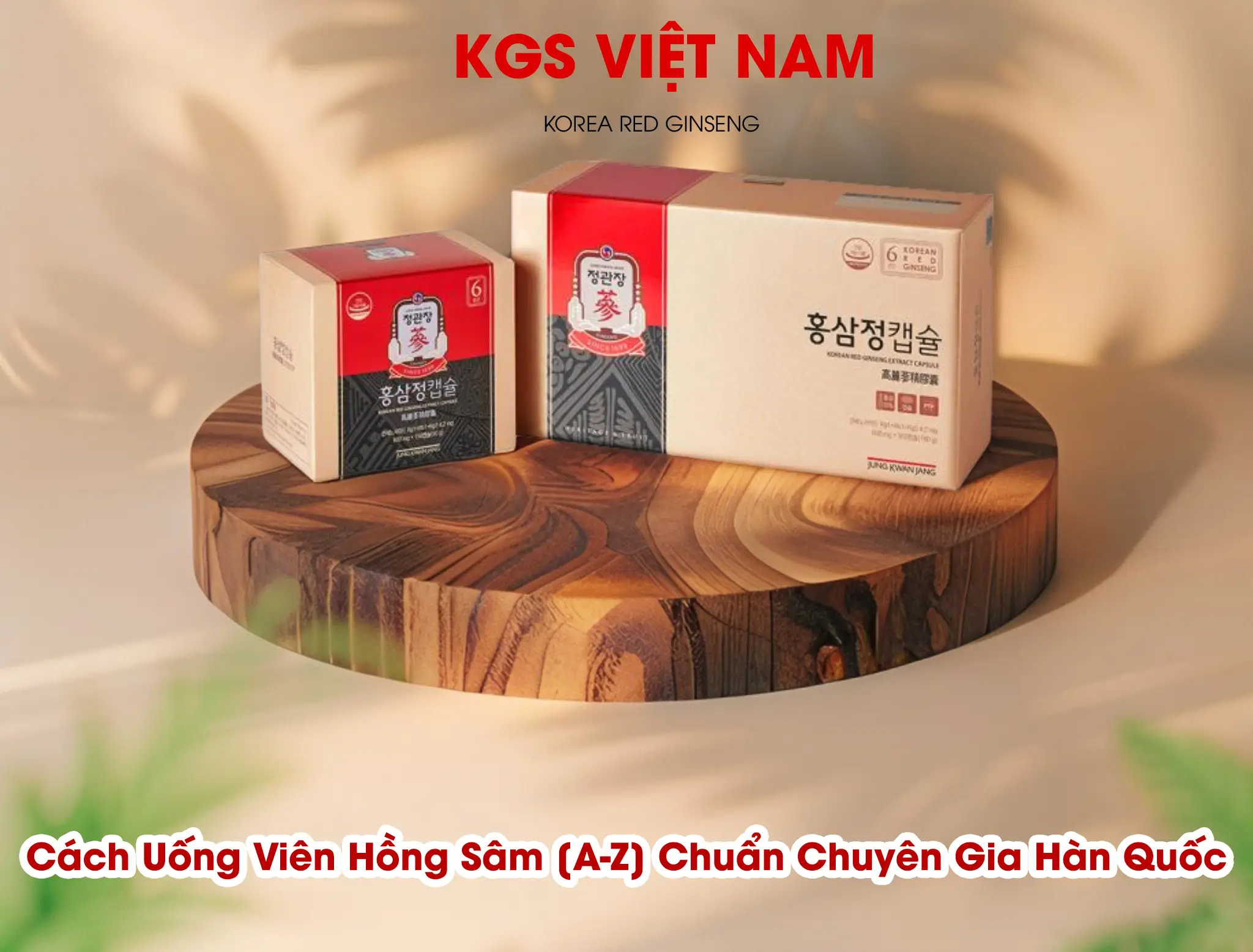 CÁCH NUÔI RÙA BẢN ĐỒ CHI TIẾT A-Z: HƯỚNG DẪN TỪ CHUYÊN GIA