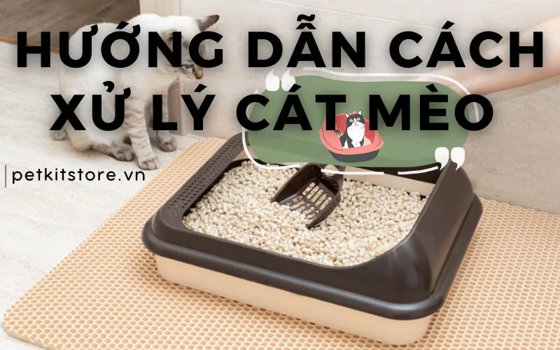 Cách Nuôi Cá Kiểng Khoẻ Mạnh: Hướng Dẫn Chi Tiết Từ A Đến Z