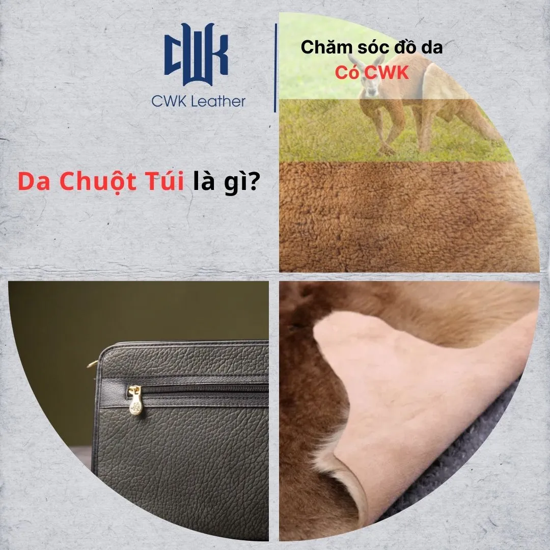 Cận cảnh lớp biểu bì của da chuột túi, minh họa đặc điểm không có tuyến mỡ và nang lông đồng đều, giúp tăng cường độ bền