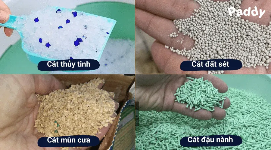Các loại cát mèo phổ biến trên thị trường với nhiều đặc tính ưu việt khác nhau