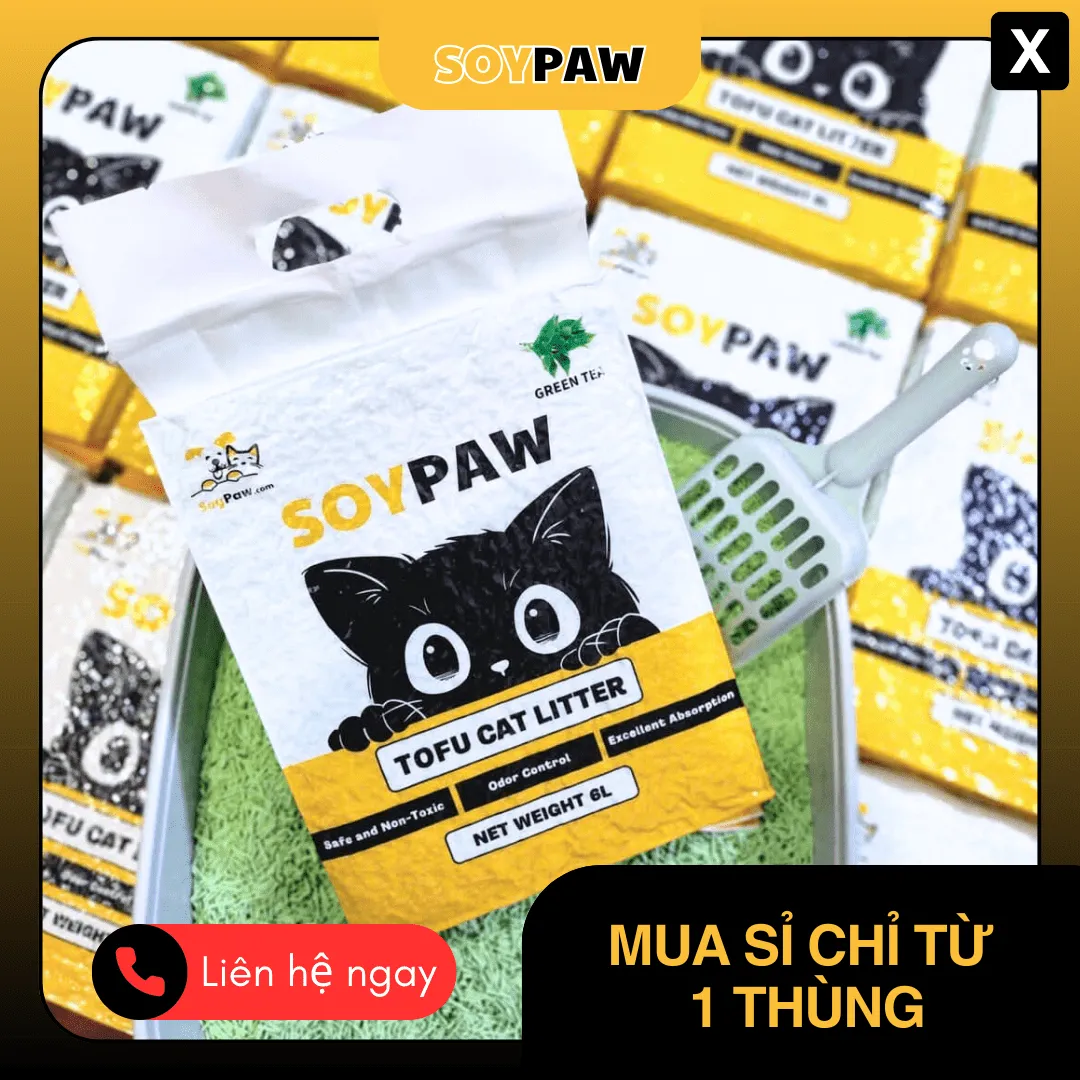 chăm sóc sức khỏe định kỳ cho chuột hamster để tăng tuổi thọ