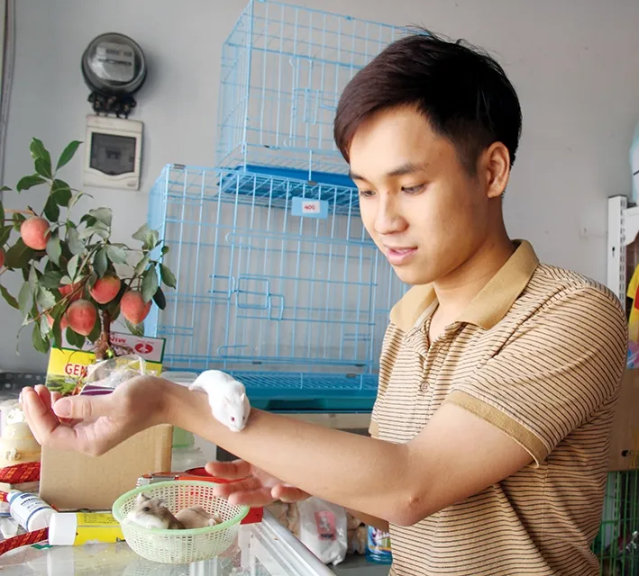 Châu Thanh Tuấn, người nuôi chuột cảnh Hamster nhiều nhất tại Buôn Ma Thuột, đang tương tác với thú cưng