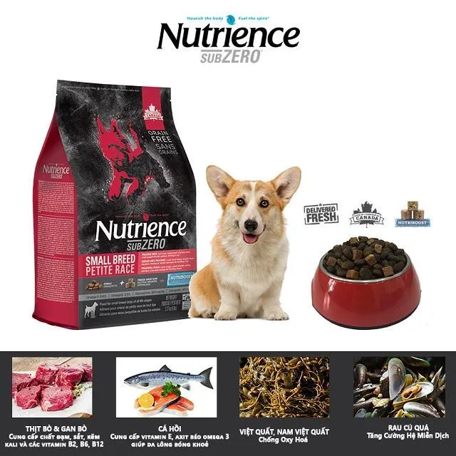 Chế độ dinh dưỡng tiêu chuẩn của Corgi ở từng giai đoạn