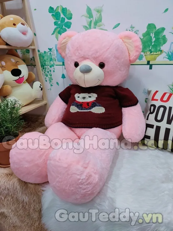 Chính sách đổi trả lồng chuồng chuột hamster Vũng Tàu: Minh bạch và tiện lợi