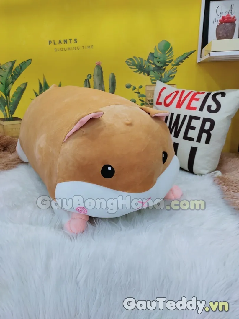 Chính sách đổi trả sản phẩm cho khách hàng chuột hamster Vũng Tàu: Cam kết chất lượng cao