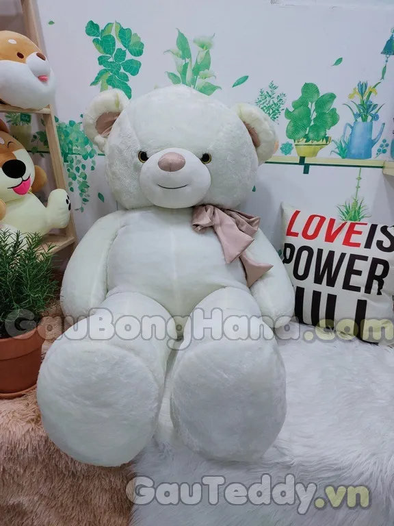 Chính sách ưu đãi vận chuyển cho khách hàng chuột hamster Vũng Tàu: Giảm chi phí ship